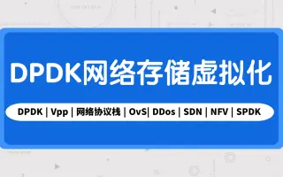 零声-DPDK网络存储虚拟化开发（vpp/OvS/DDos/SDN/NFV/SPDK）